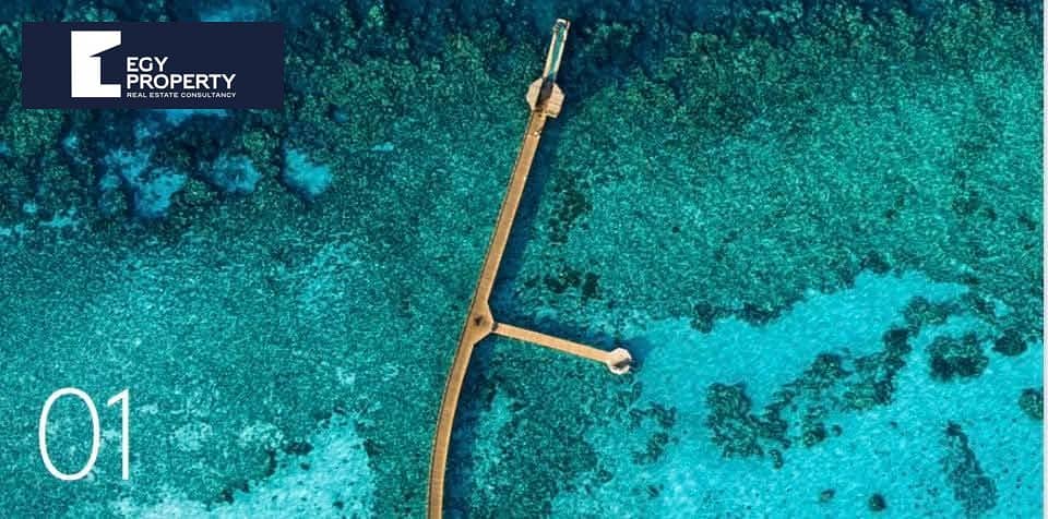 10 WhatsApp Image 2025-08-05 at 5.03. 10 PM (30). jpeg