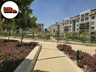 2 Bedroom Apartment for Sale in New Cairo, Cairo - WhatsApp Image 2025-11-08 at 09.31. 23_47aafbdd. jpg