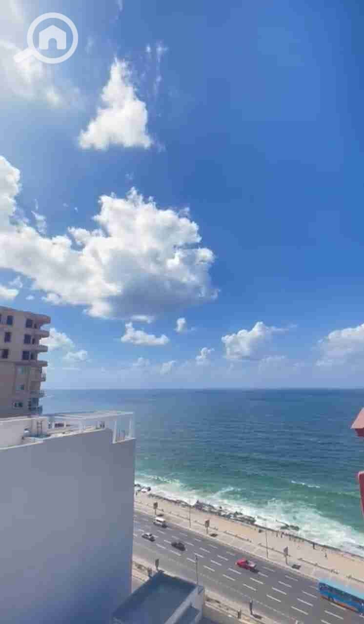 IMG-20251217-WA0000. jpg IMG-20251217-WA0000. jpg