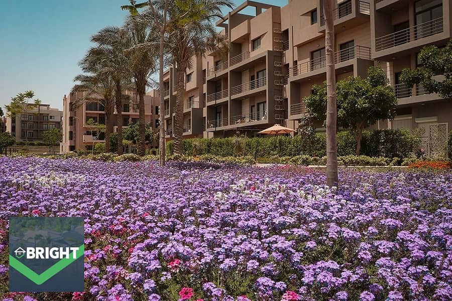 5 WhatsApp Image 2025-10-14 at 1.58. 34 PM. jpeg