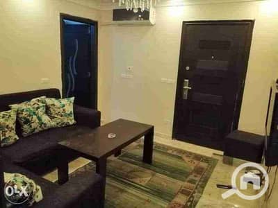 2 Bedroom Apartment for Rent in Nasr City, Cairo - 1240. jpg