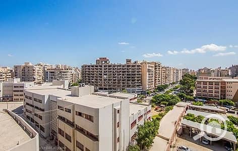 3 Bedroom Flat for Sale in Smoha, Alexandria - IMG-20251216-WA0061. jpg