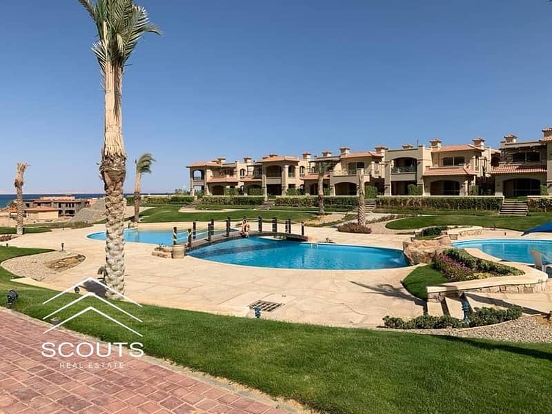 5 98d97ae9-ff4a-4883-ae7b-7dbd8533eac2. jpg