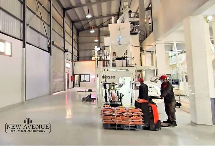 5 25682bc8-d183-4e11-bba5-1c705a12dd1e. jpg