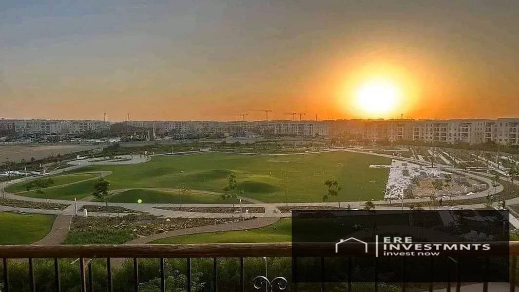 11 598116342_3860013820961702_5104911463815107391_n. jpg