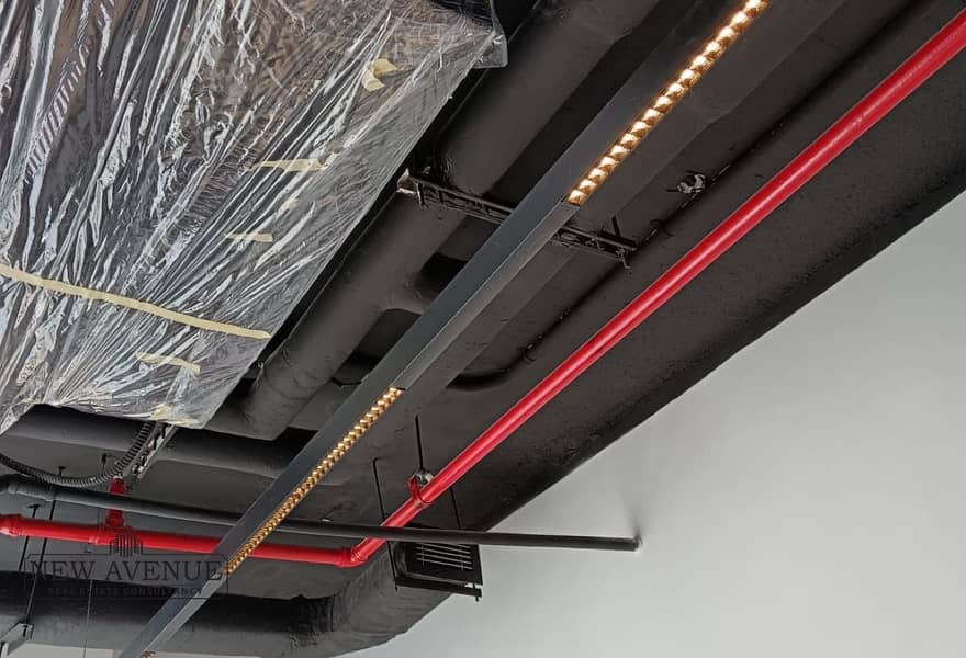 10 97ddae0f-a6dd-45c8-a612-bbd610a1d065. jpg