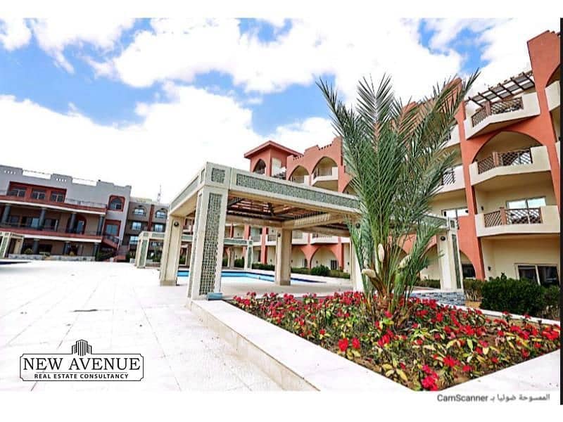 4 4104b6c5-0c06-48a6-8e82-1471323ae3a2. png