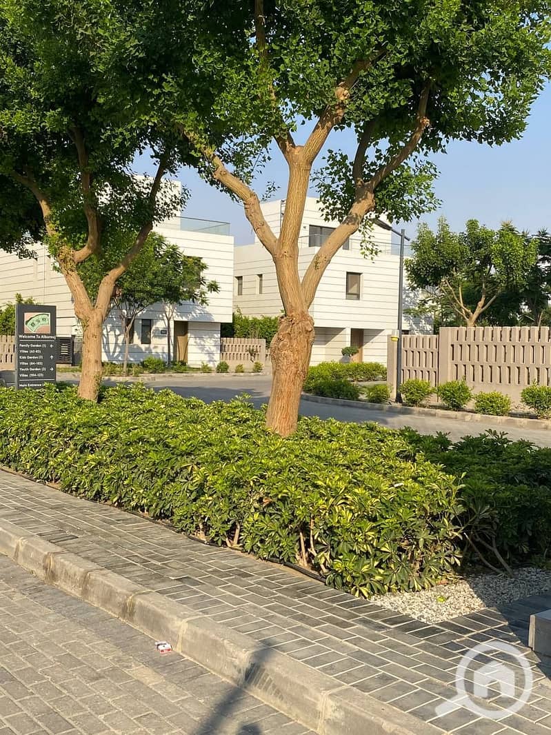 9 photo_2025-07-15_00-02-53. jpg