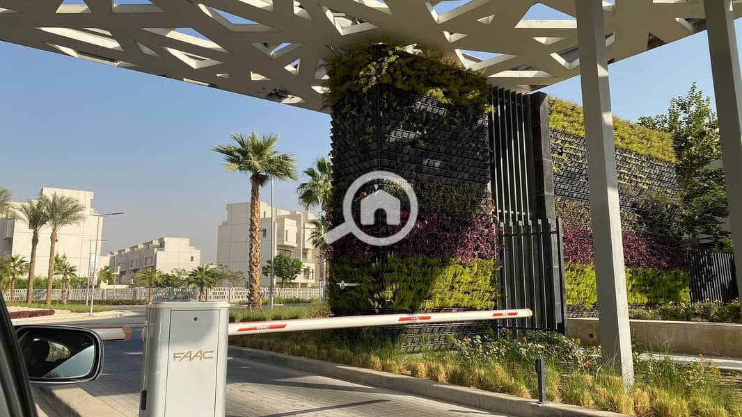 10 photo_2025-03-23_23-21-31. jpg