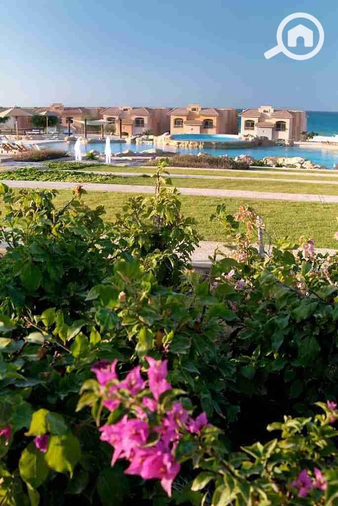 7 IMG-20230427-WA0044. jpg