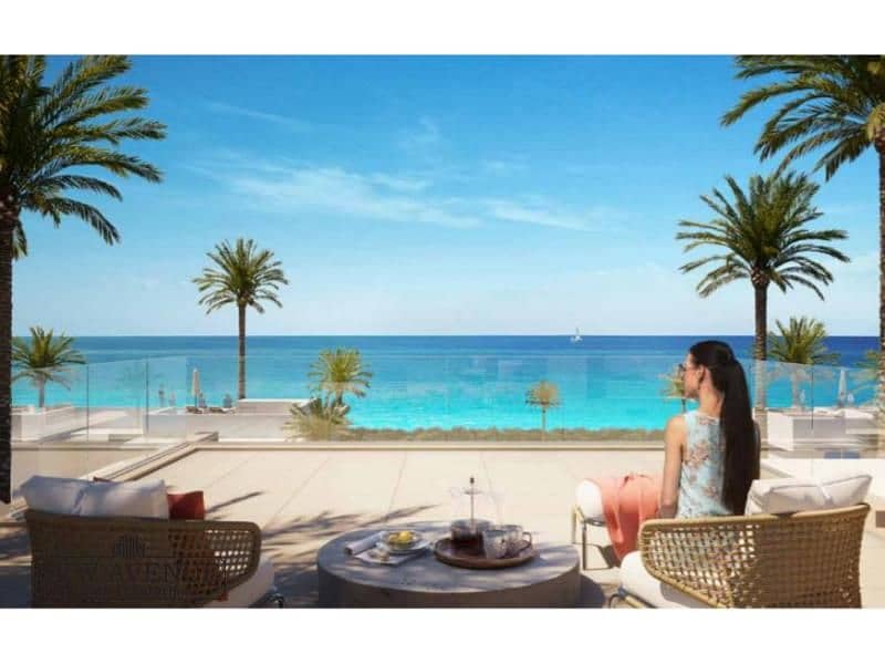 14 WhatsApp Image 2025-12-12 at 9.34. 18 PM (3). jpg