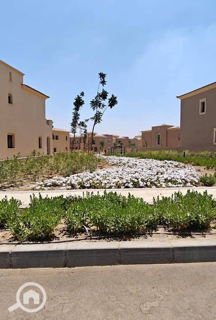 6 e0ea5276-a46f-4b8c-be22-b580aa686eaf. jpeg