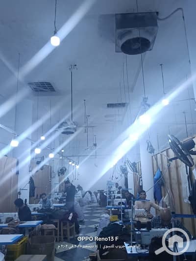Factory for Sale in Smoha, Alexandria - WhatsApp Image 2025-12-16 at 17.45. 50. jpeg Factory for Sale in Smoha, Alexandria - WhatsApp Image 2025-12-16 at 17.45. 50. jpeg