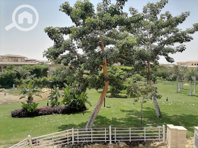 2 48c9a9f9-9e28-4d10-b366-fed7de7ed67f. jpg