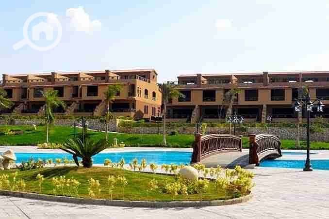 1000158164. jpg 1000158164. jpg