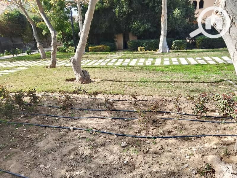 19 a789d576-8601-48ae-9cd4-5cd7fb09ca23. jpeg