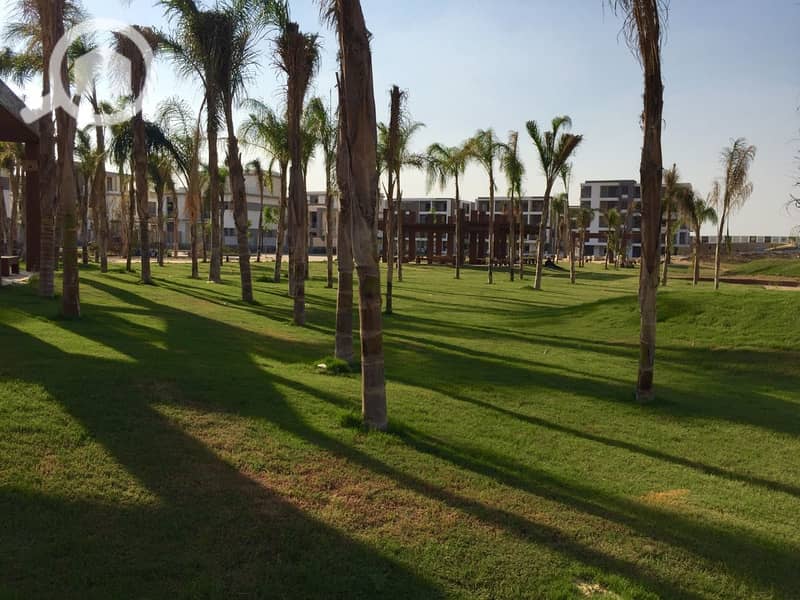 4 WhatsApp Image 2018-07-03 at 2.50. 55 PM. jpeg