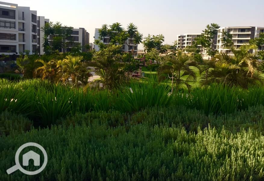 5 WhatsApp Image 2018-07-03 at 2.50. 56 PM. jpeg