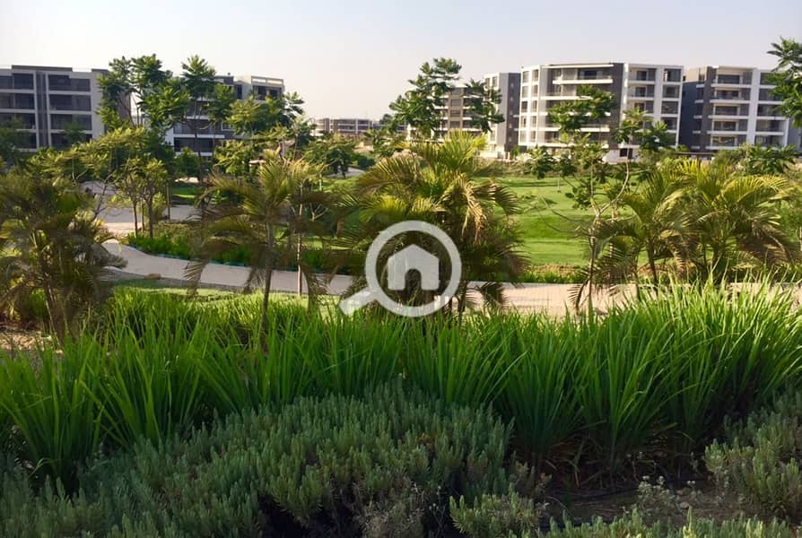 7 WhatsApp Image 2018-07-03 at 2.51. 01 PM. jpeg