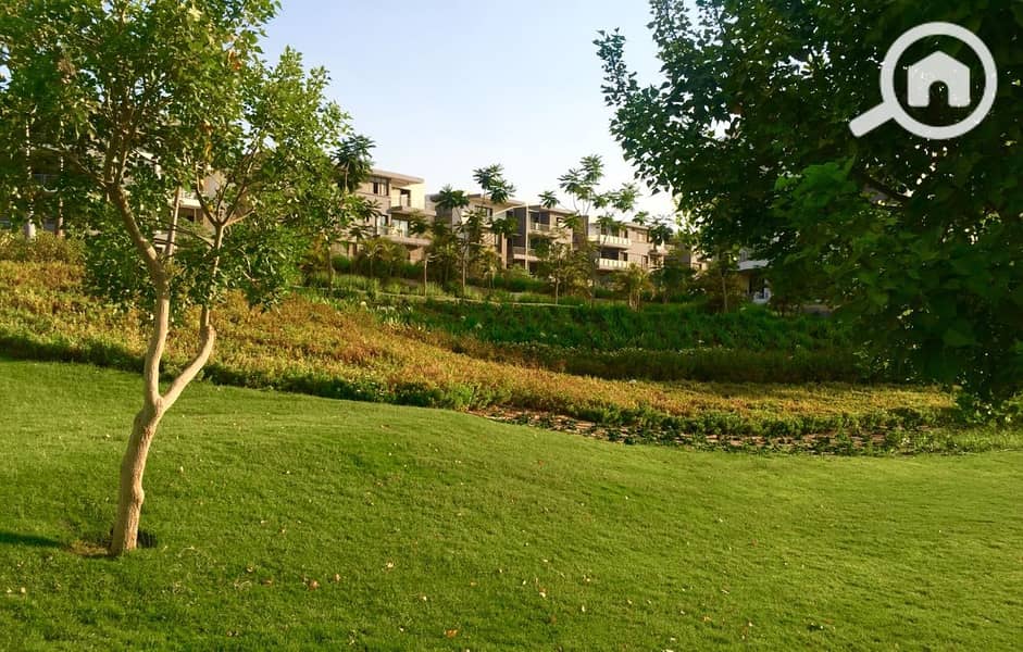 8 WhatsApp Image 2018-07-03 at 2.51. 02 PM. jpeg