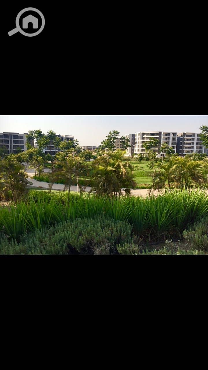 9 WhatsApp Image 2018-07-03 at 2.51. 04 PM. jpeg