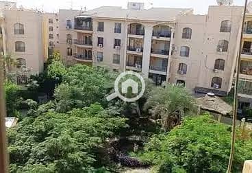 6 صورة واتساب بتاريخ 2025-12-15 في 20.05. 38_77faa824. jpg