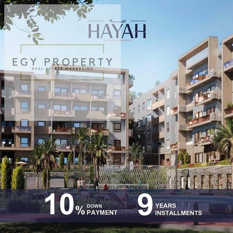 6 715ef538-add0-43ef-ad56-eec2956e77e2. jpg