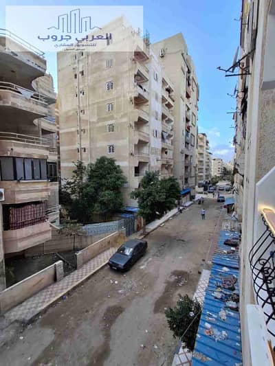 2 Bedroom Apartment for Sale in Nakheel, Alexandria - 1000337417. jpg 2 Bedroom Apartment for Sale in Nakheel, Alexandria - 1000337417. jpg