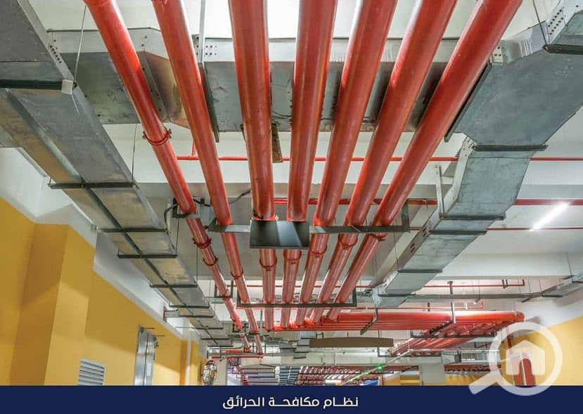 13 WhatsApp Image 2025-12-07 at 11.21. 15. jpeg