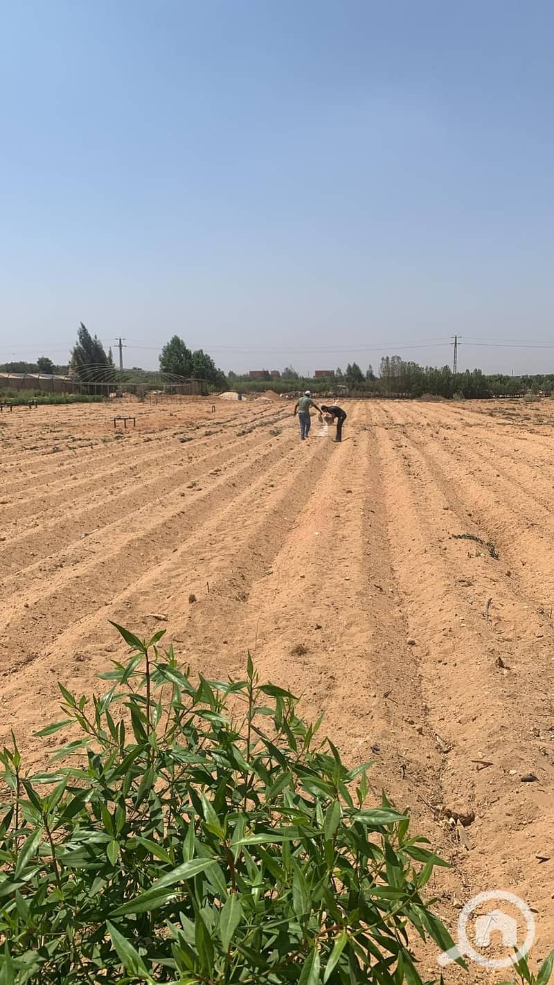 WhatsApp Image 2025-12-13 at 10.21. 31 PM. jpeg WhatsApp Image 2025-12-13 at 10.21. 31 PM. jpeg