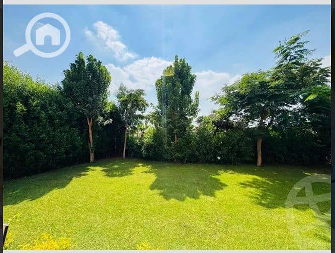 3 3a08ca1c-1673-4e72-bcc3-5495efad7512. jpeg