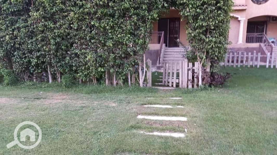 13 9ae00979-26bf-4a59-81af-cbad60dfffa1. jpg