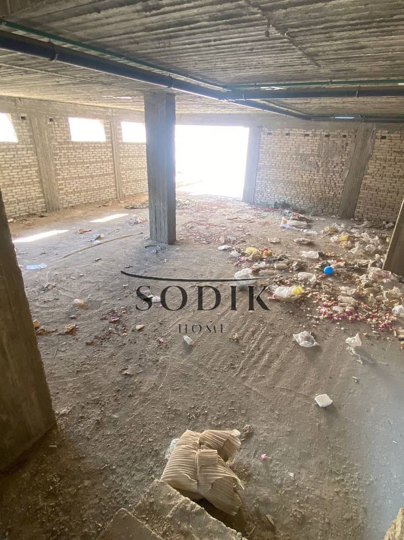 6 WhatsApp Image 2025-10-14 at 3.52. 56 PM (2). jpeg