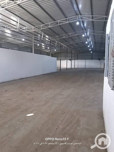 مستودع  للايجار في سموحة، الإسكندرية - WhatsApp Image 2025-12-16 at 18.25. 10 (1) - Copy. jpeg