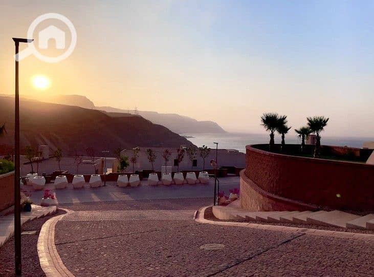 16 Screenshot_18. jpg