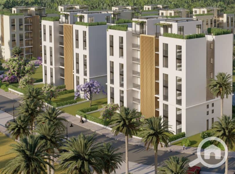 4 WhatsApp Image 2025-12-17 at 11.56. 02 AM (1). jpeg