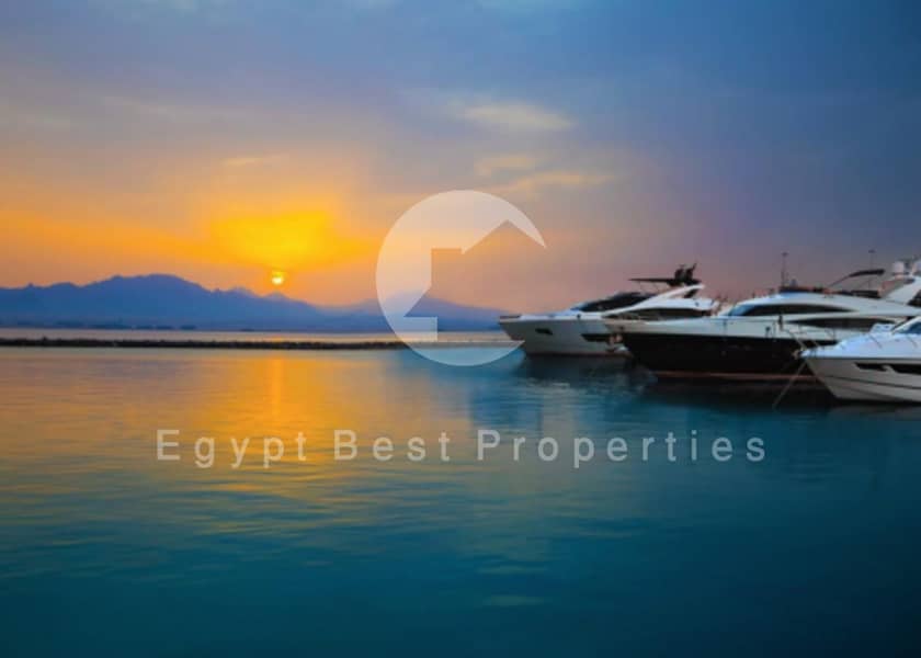 6 Screenshot 2024-03-19 124438. png