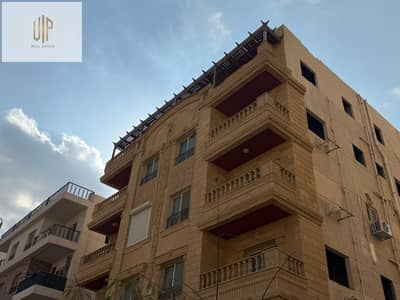 3 Bedroom Roof for Sale in New Cairo, Cairo - WhatsApp Image 2025-12-03 at 4.31. 19 PM. jpeg