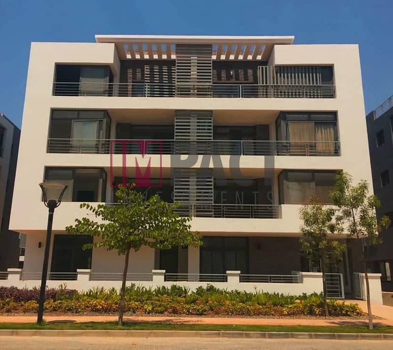 7 53600236_563113917536383_4386224746765746176_n. jpg