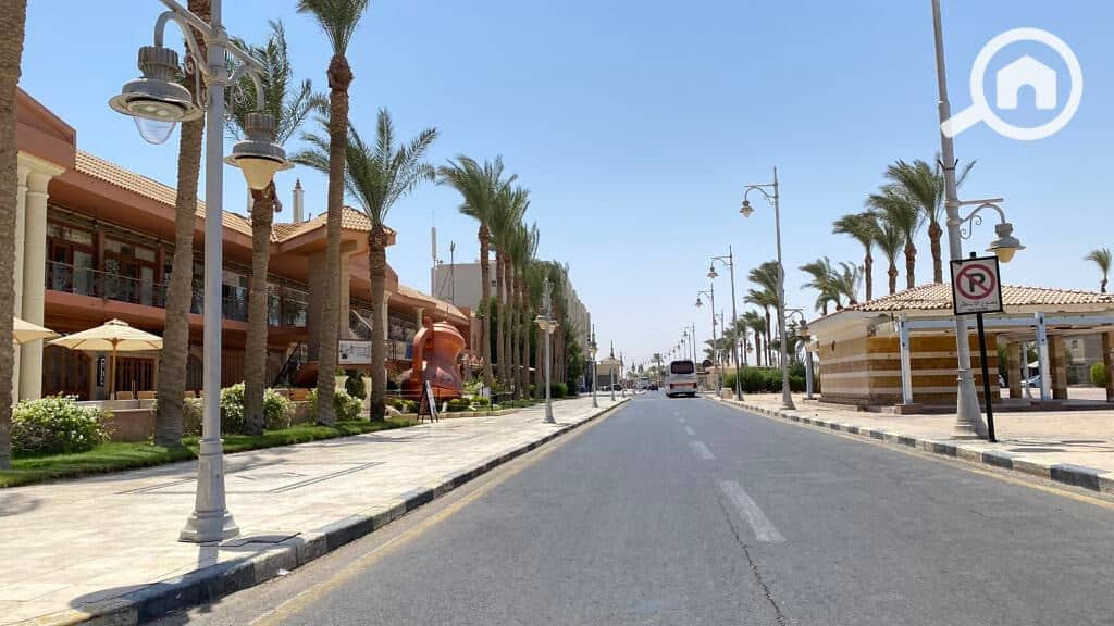 4 IMG_5143-1024x576-1. jpeg