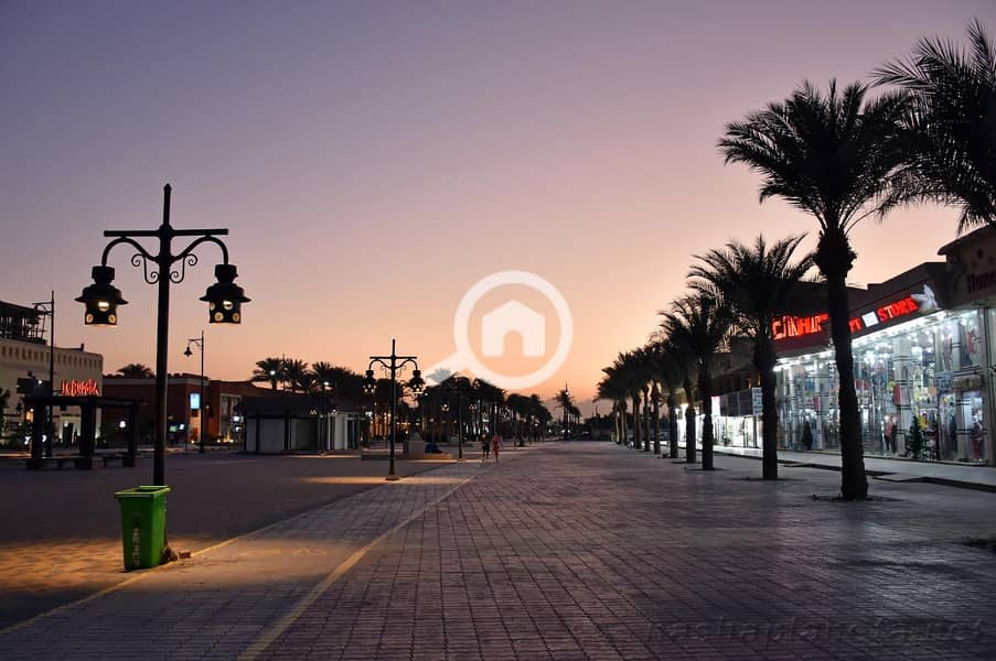 6 youssef-affifi-road2. jpg