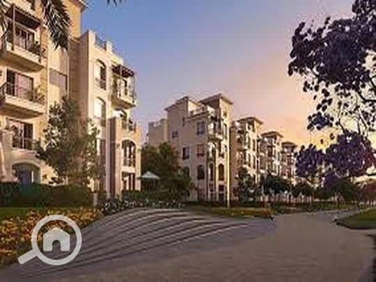 8 909ad04d-784e-11ef-b4b1-ceec2d1902f0. jpeg