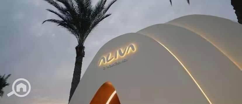 4 528049955_1959661724883919_4746761196231631598_n. jpg