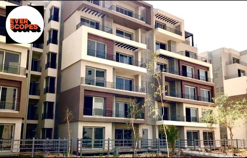 2 3376530-d426do (1). jpg