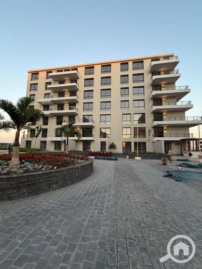 فلیٹ 3 غرف نوم للبيع في العامرية، الإسكندرية - WhatsApp Image 2025-12-16 at 4.53. 44 PM. jpeg