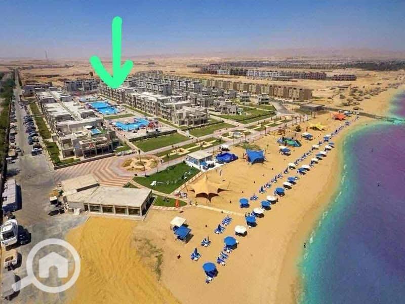 3 903c8e78-72bb-4977-9c07-b0683ce29da0. jpg