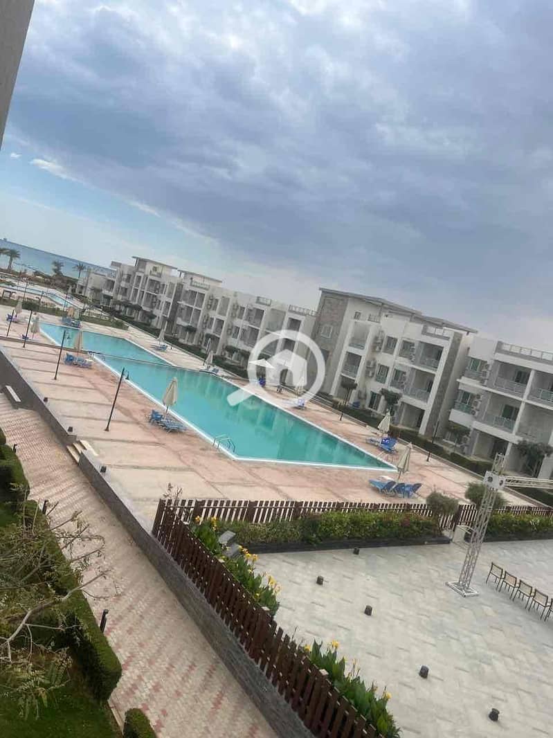 4 60364212-d730-43be-b1e5-83ebad53d6d0. jpg