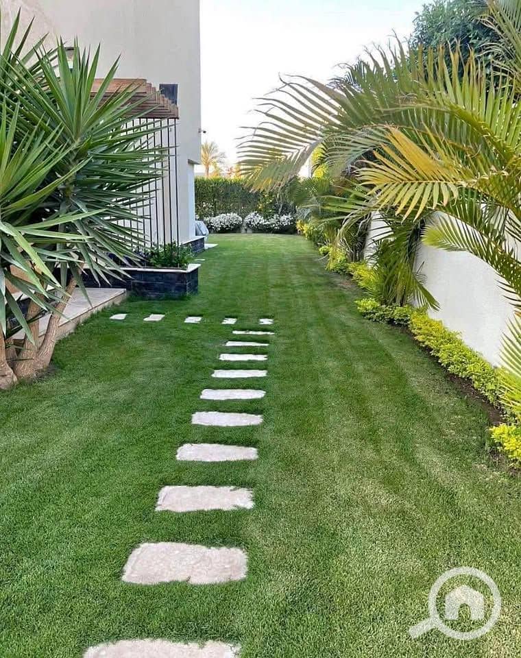 4 550999977_1139723458118736_7073361521254576854_n. jpg