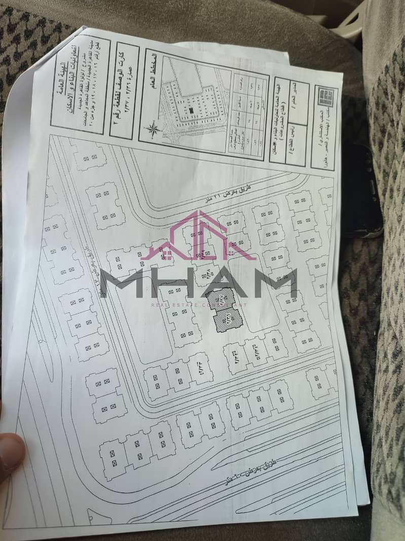 8 photo_5911187043545451760_y. jpg