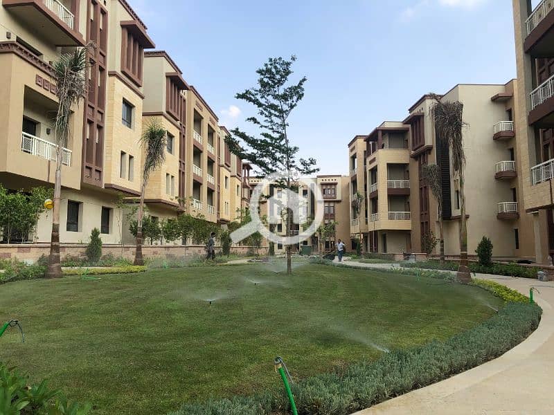 16 1246543213244. png